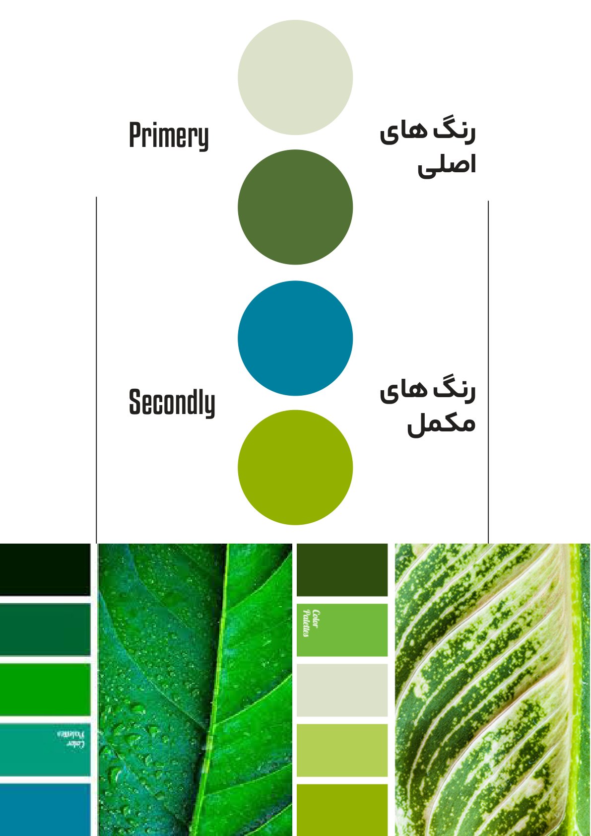 Dorhan color palette