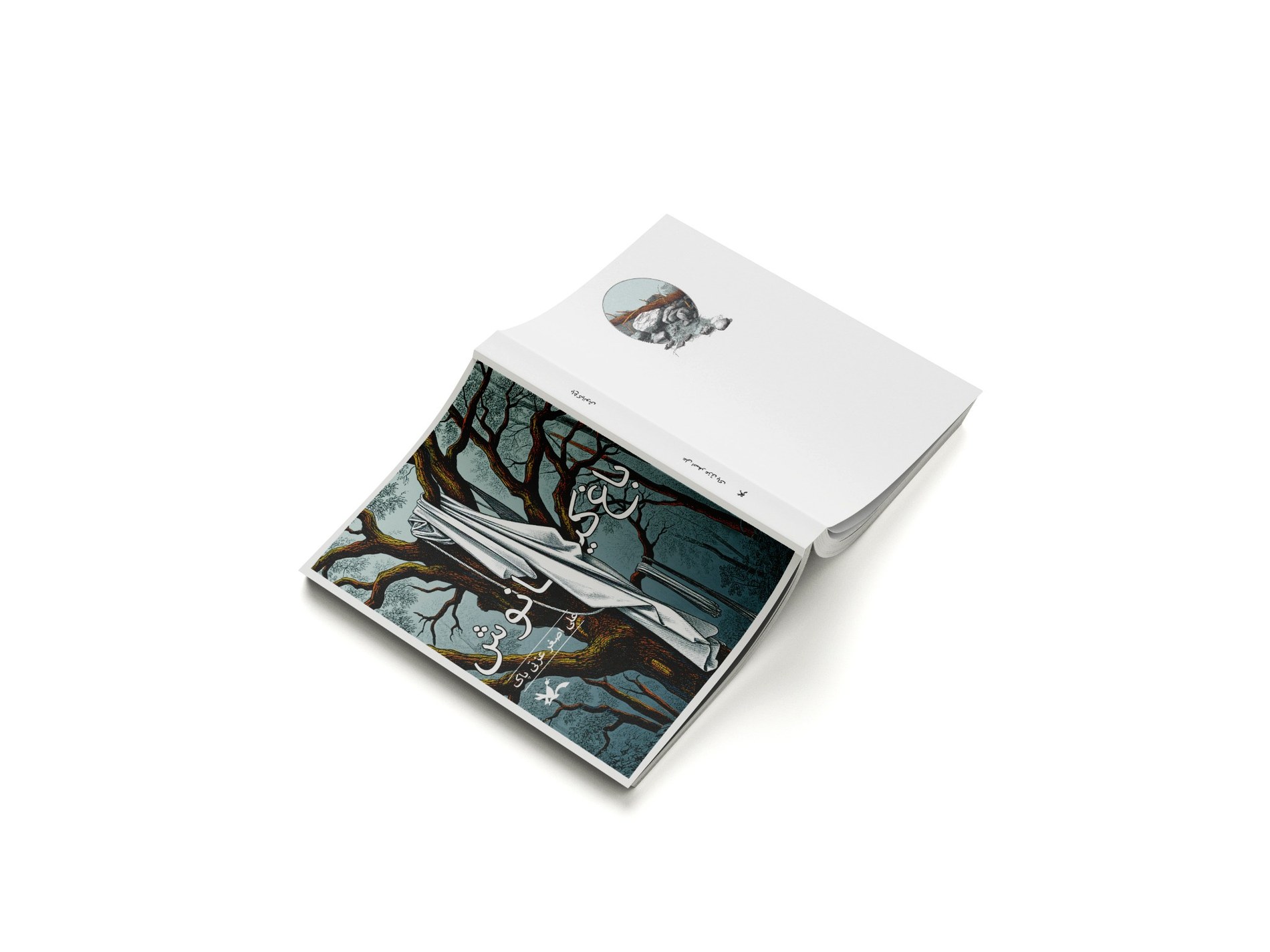 Kianoush Garden book mockup