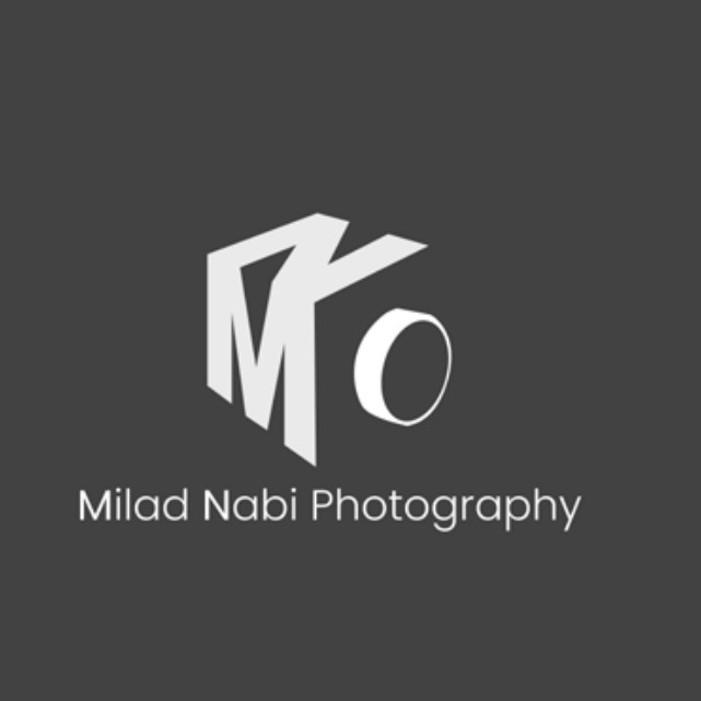 Afshin Mayabadi portfolio logo