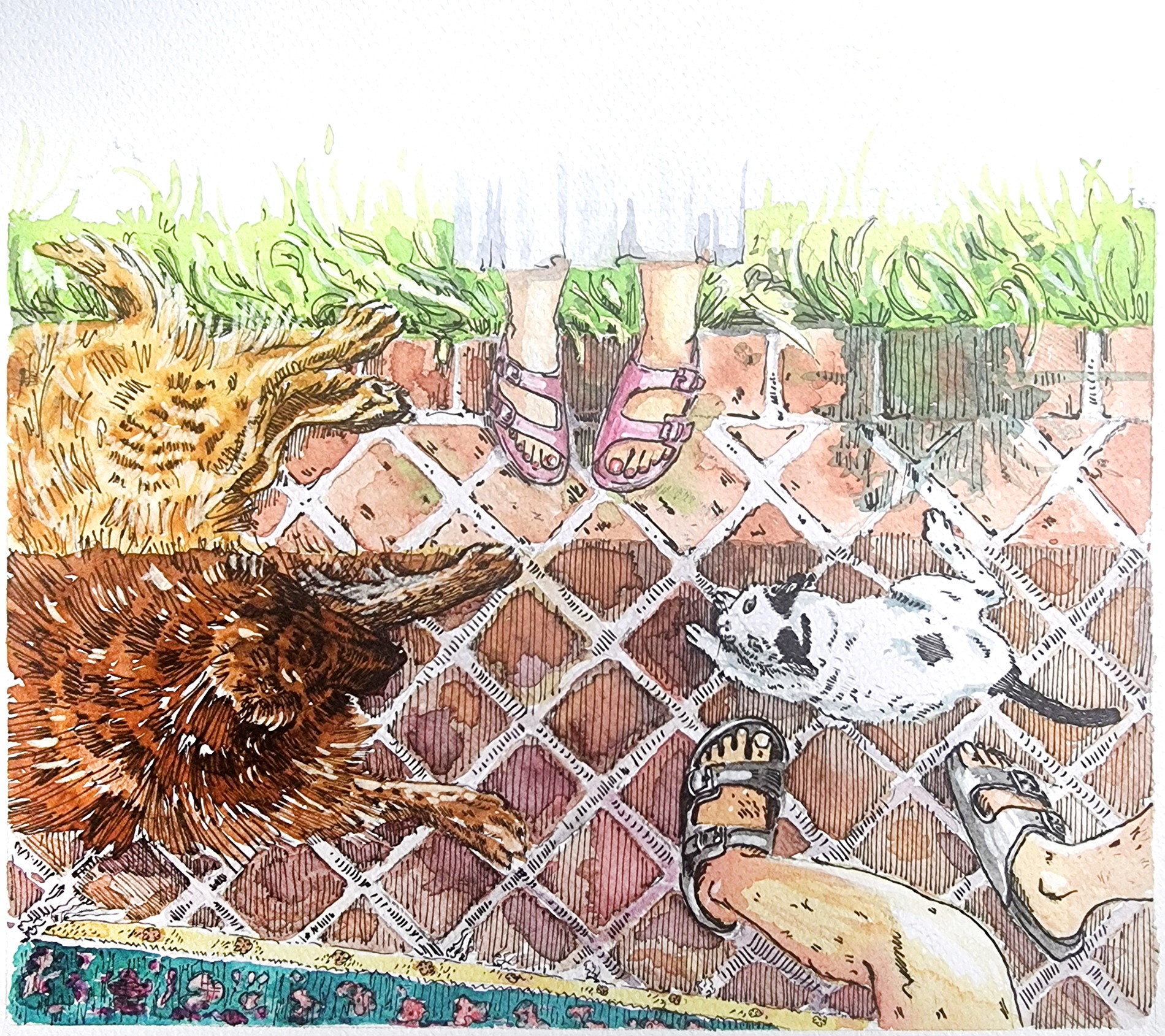Babak and Sangak cats on tiled floor