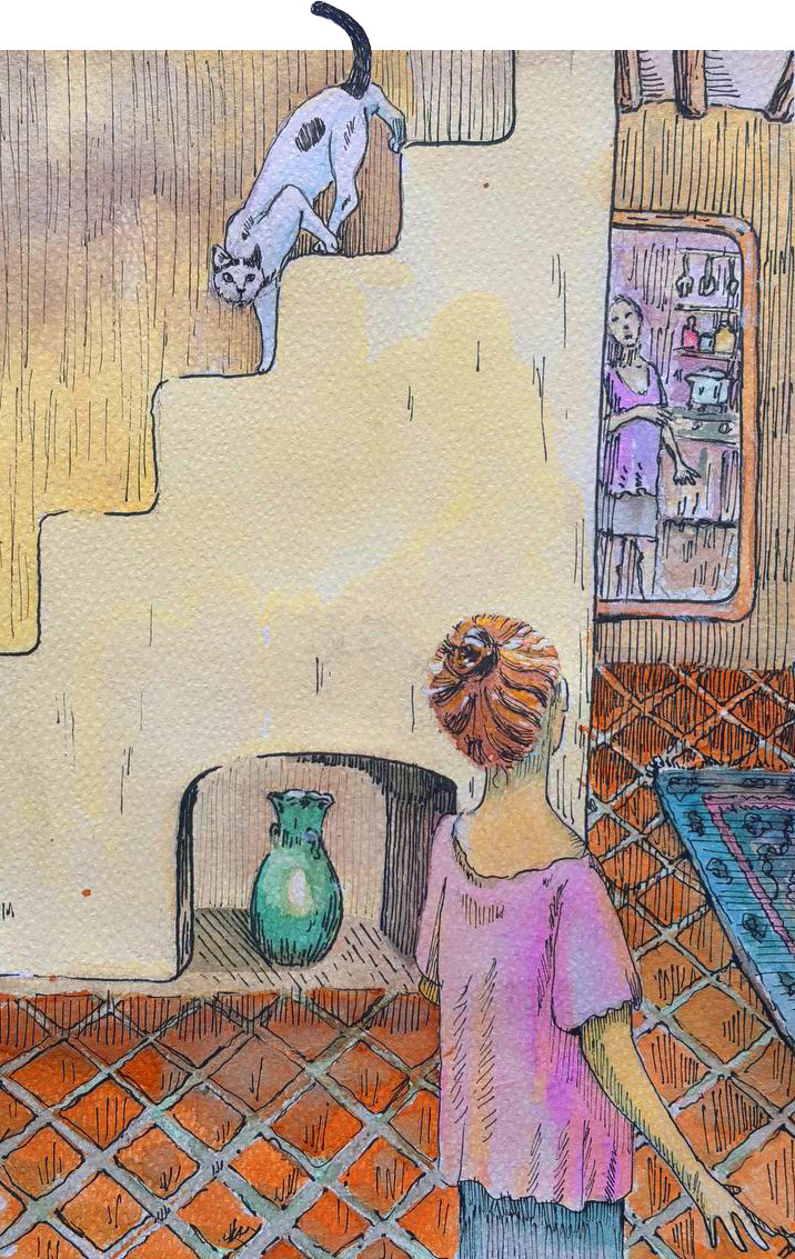 Stair and mirror cat illustration from Babak and Sangak by Afshin Mayabadi